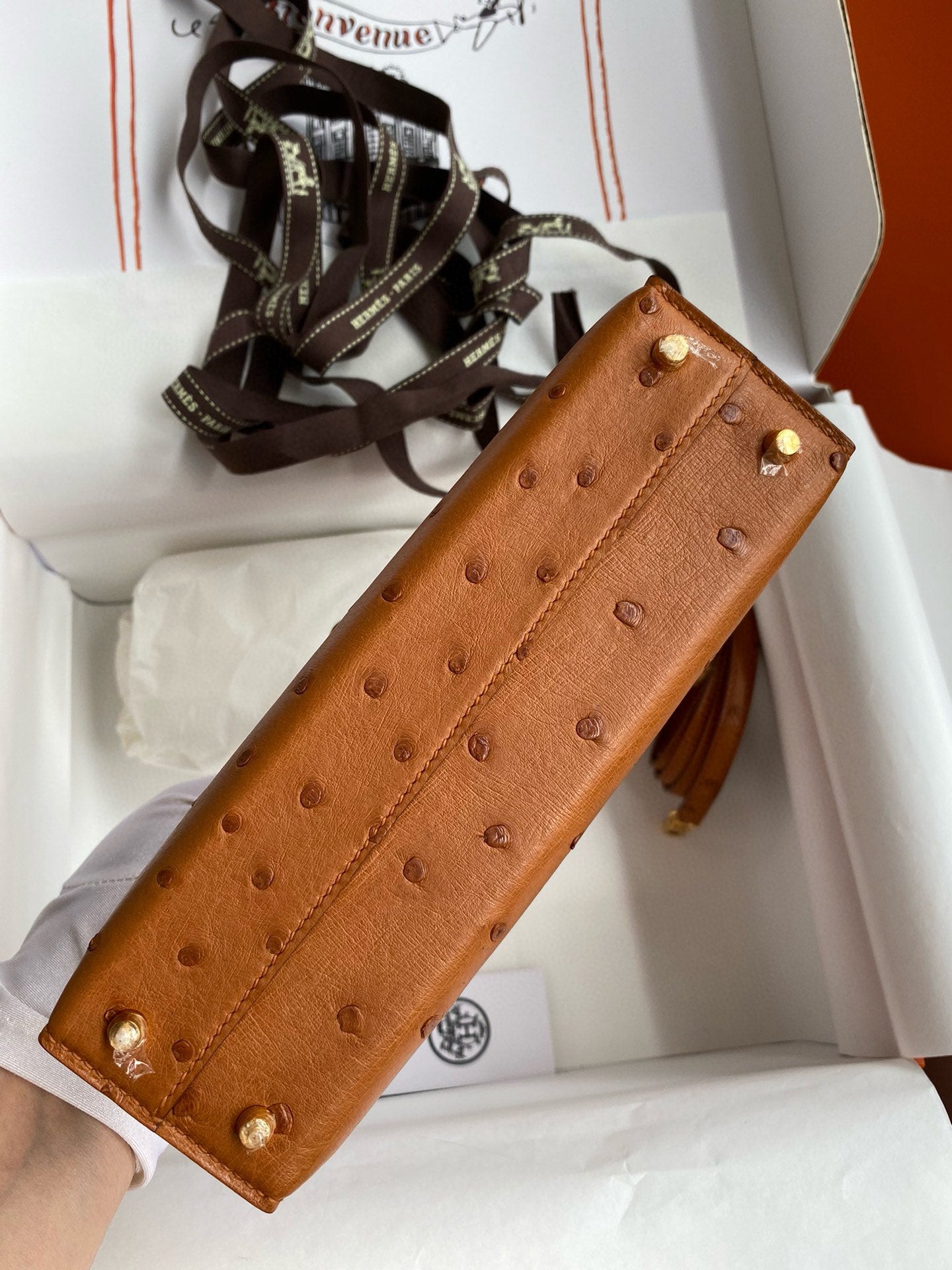 Hand-Stitched Ostrich Leather Mini Top Handle Bag – Premium Structured Handbag