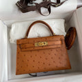 Hand-Stitched Ostrich Leather Mini Top Handle Bag – Premium Structured Handbag