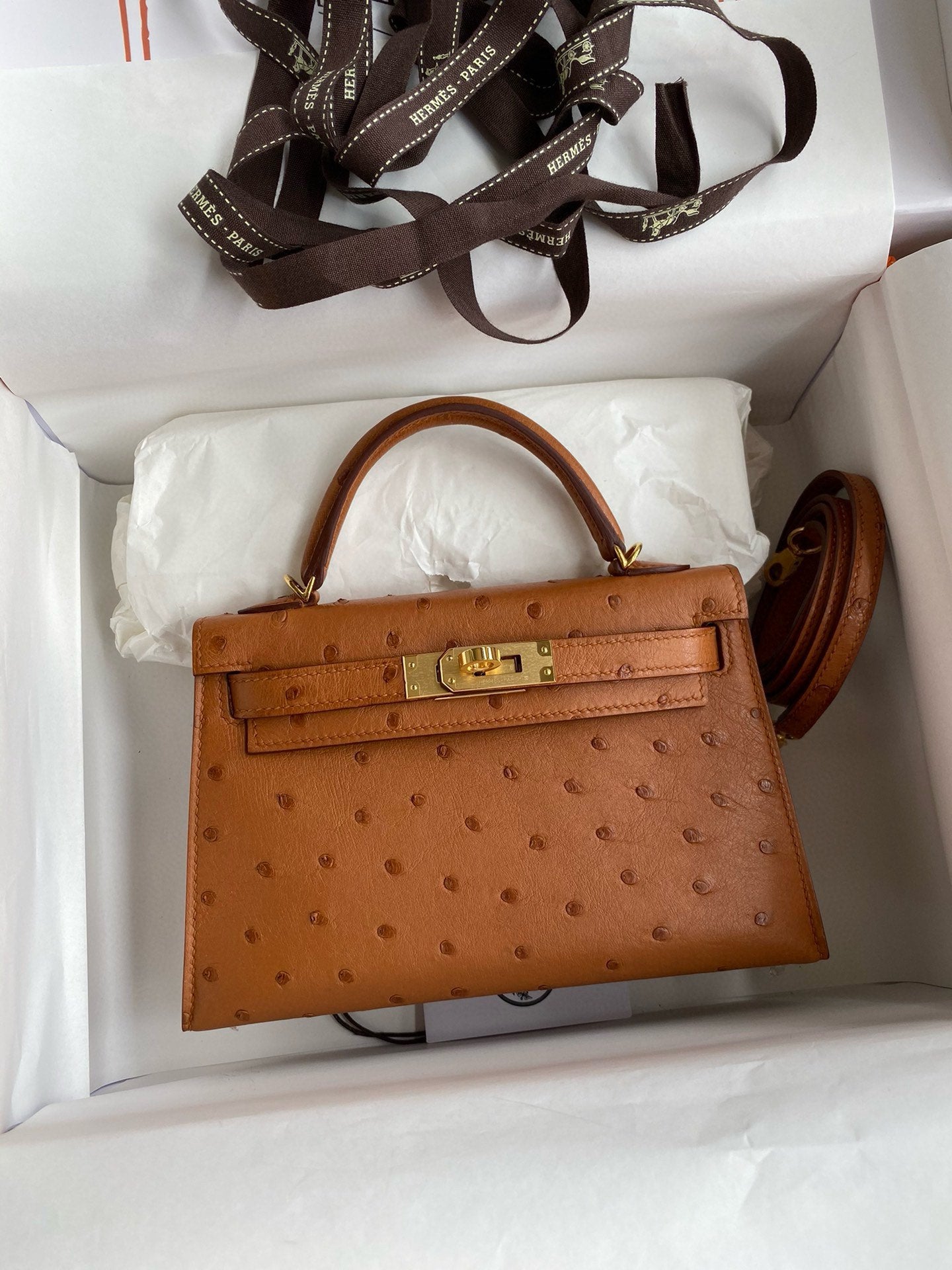 Hand-Stitched Ostrich Leather Mini Top Handle Bag – Premium Structured Handbag
