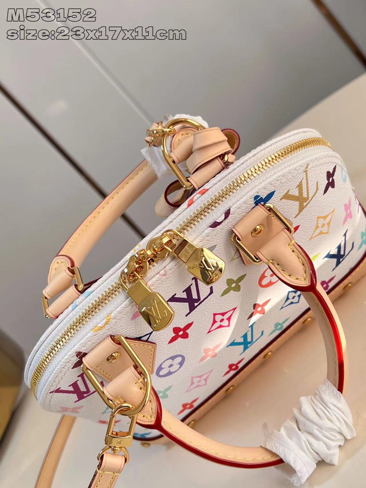 Multicolor Canvas Structured Mini Bag – Premium Top Handle &amp; Crossbody